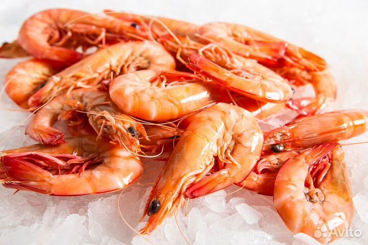 Морепродукты с быстрой доставкой на дом