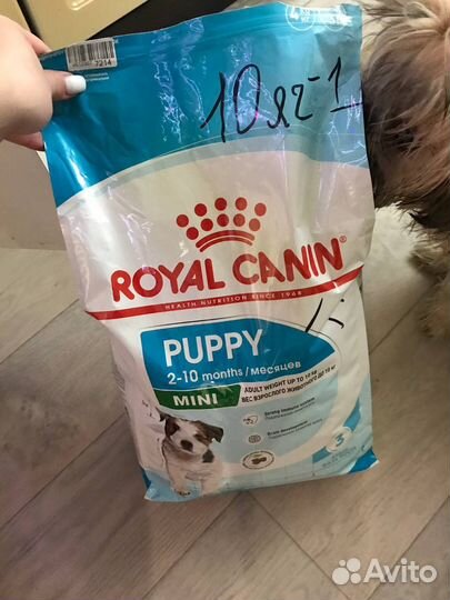 Сухой корм для собак Royal Canin