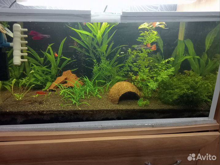 Кокосовые укрытия для животных