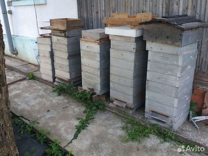 Ульи для пчел