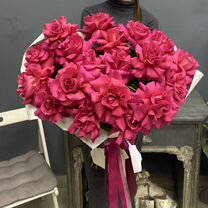Французские розы самые крупные, Санкт-Петербург