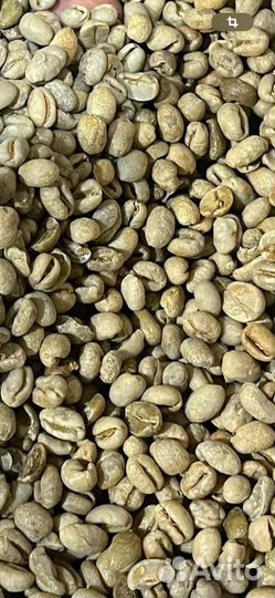 Кофе в зернах робуста 16 и арабика 18