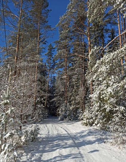 Участок 20 сот. (СНТ, ДНП)