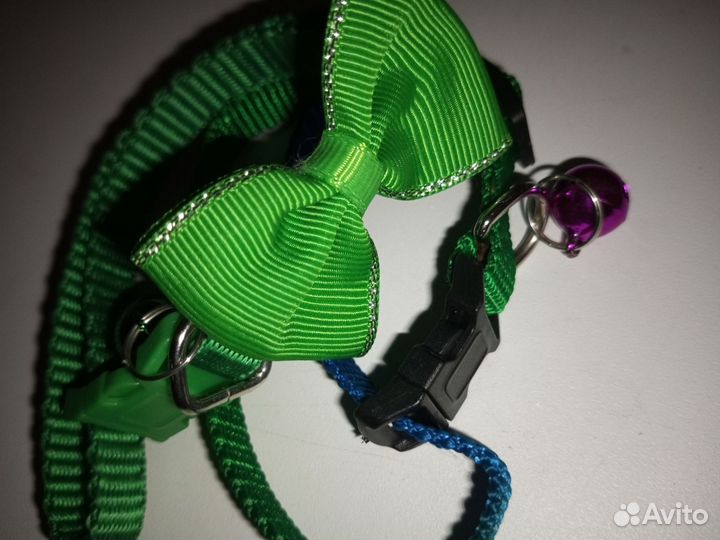 Ошейники для щенка (кошки,котёнка)