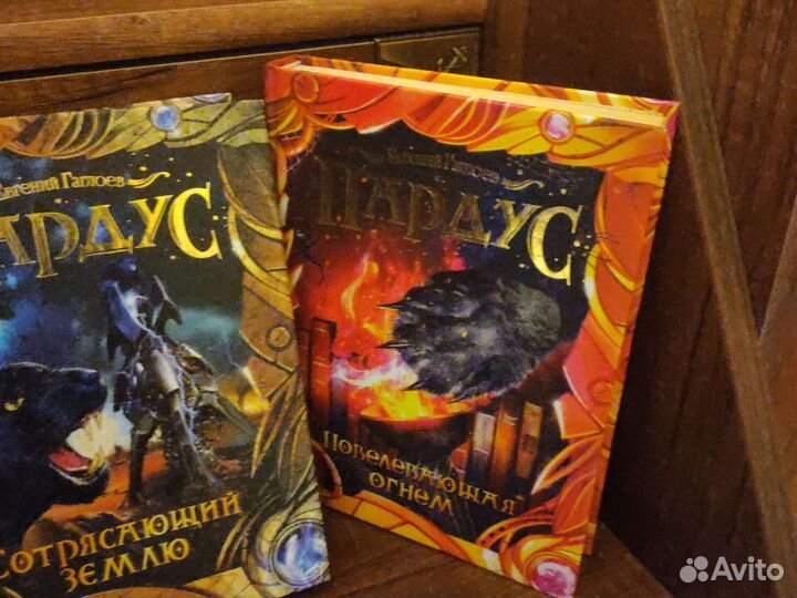 Мини колекция книг пардус