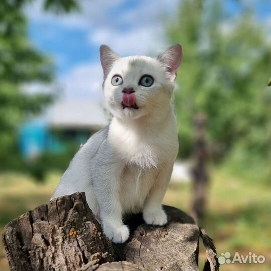 Малыш-улыбашка