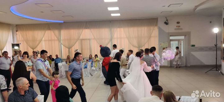 Мишка,зайка поздравления,аниматор