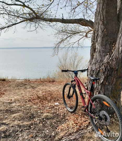 Велосипед GT avalanche elite 29