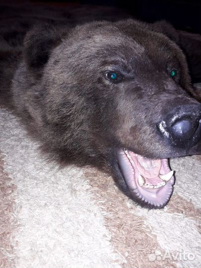 Шкура медведя(имитация)