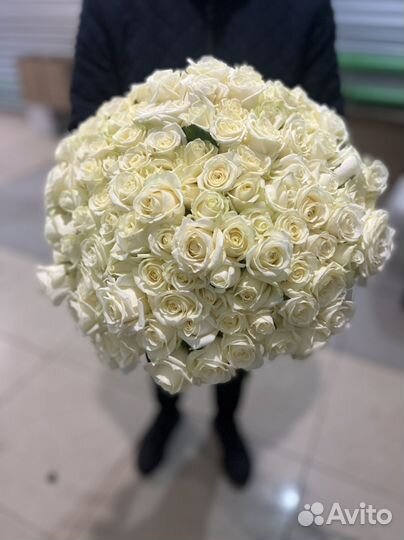 Продажа роз оптом