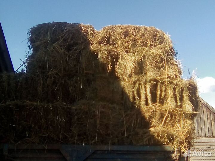 Сено в кипах