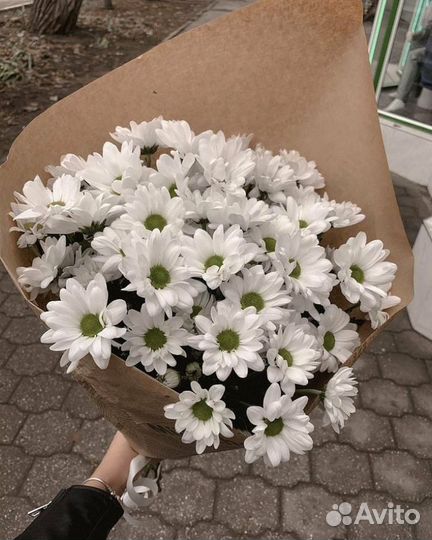 Букет хризантем Цветы Букеты