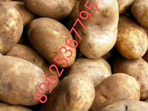 Продам картофель со своего огорода