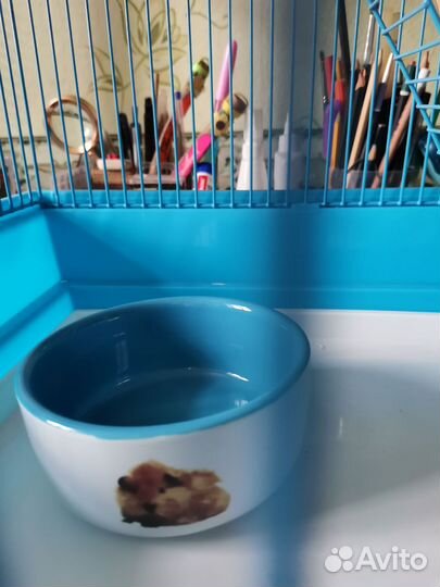 Клетка для грызунов большая