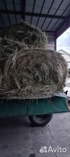 Сено
