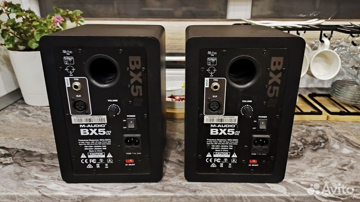 M-audio BX5 D2