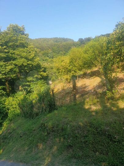 Участок 6,5 сот. (ИЖС)