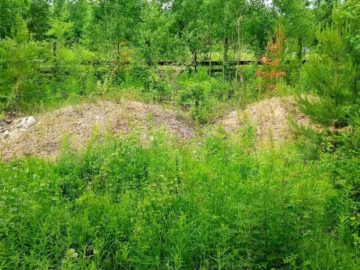 Участок 10 сот. (СНТ, ДНП)