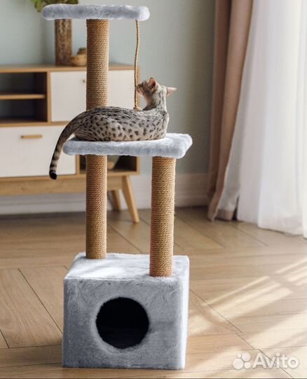 Когтеточка