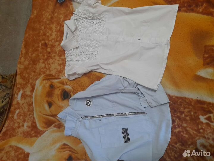 Школьные вещи для девочки пакетом 140-146