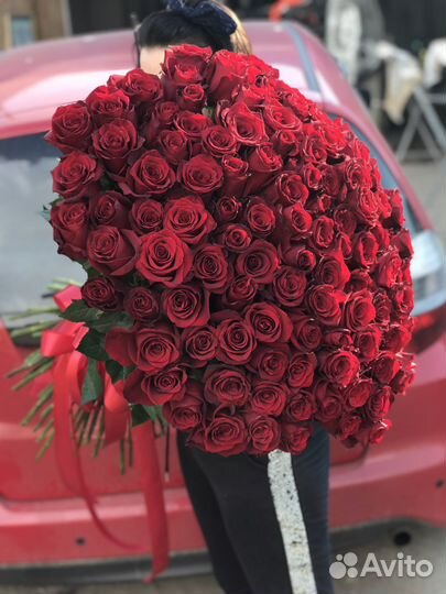 Розы Эквадор premium