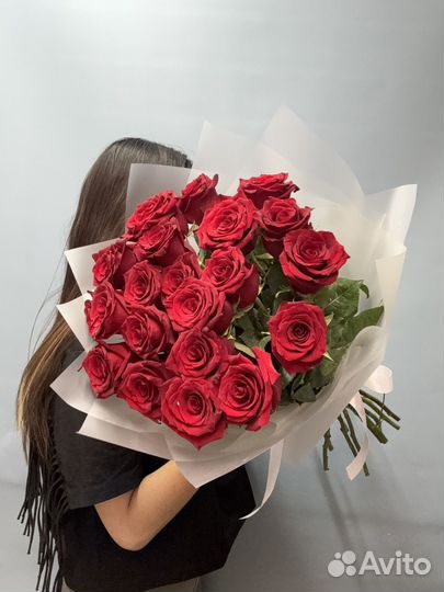 Розы эквадор Экспловер