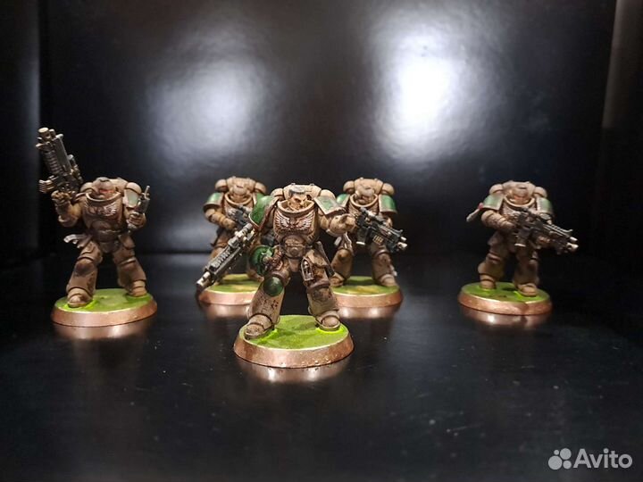 Primaris Intercessors