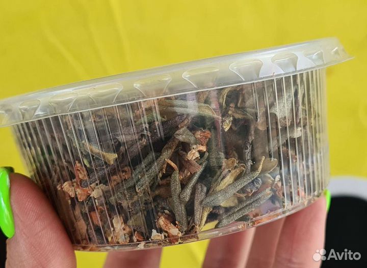 Саган дайля