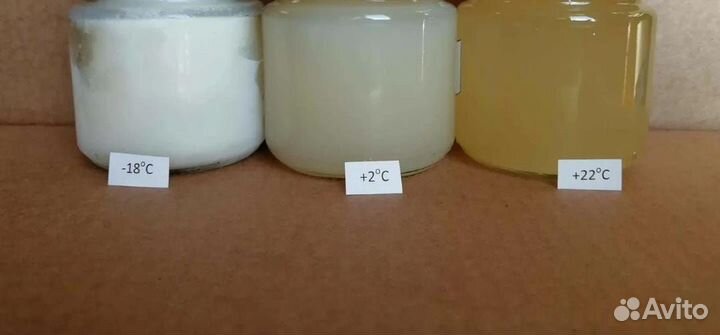 Барсучий жир от охотника