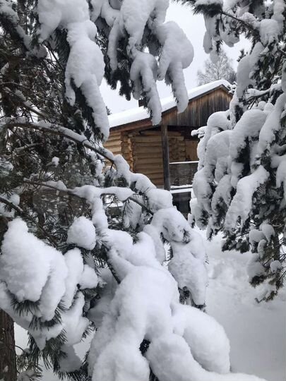 Дом 80 м² на участке 35 сот.