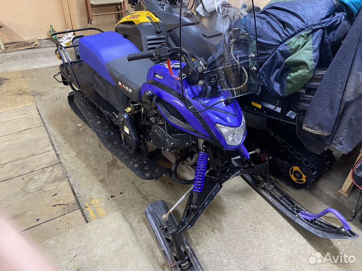 Ирбис динго т150