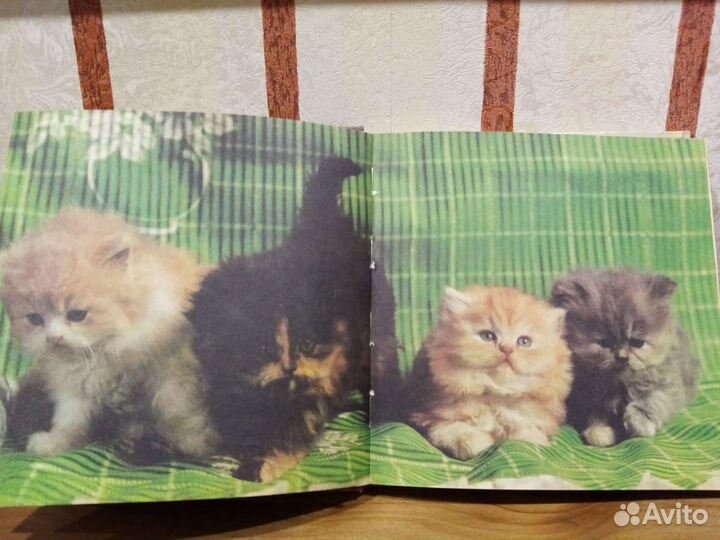 Книги о животных