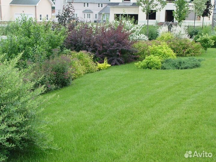 Газон под ключ (рулонный, посевной) / Озеленение у