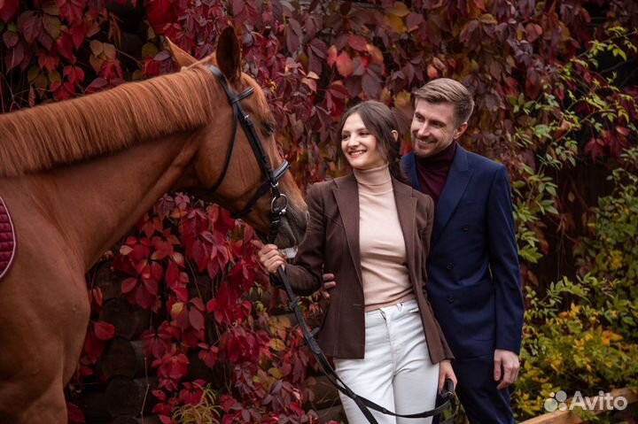 Фотосессия с лошадьми. все включено