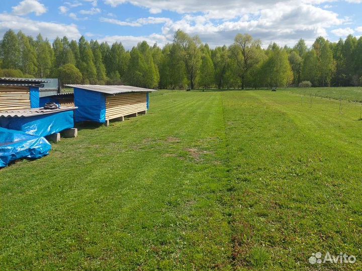 Покос травы и уборка