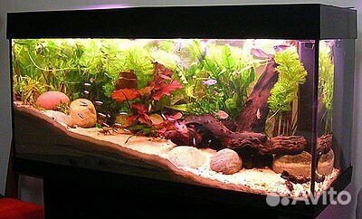 Обслуживание аквариума