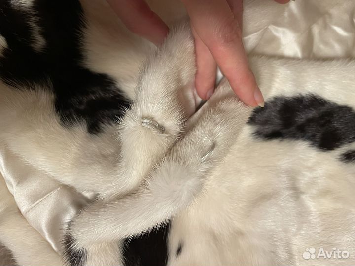 Накидка из норки 42