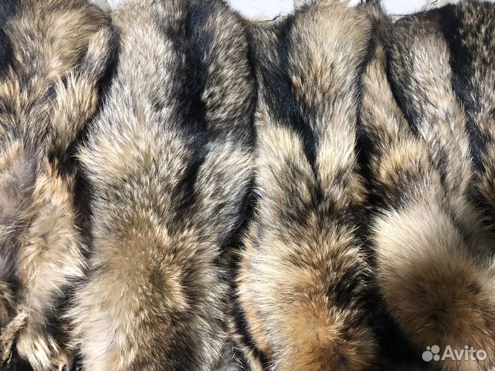 Шкуры енота