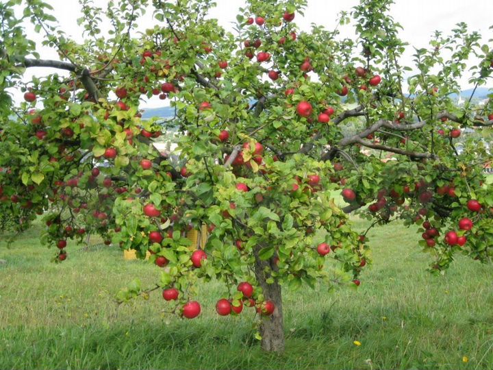 Дом 123 м² на участке 15 сот.