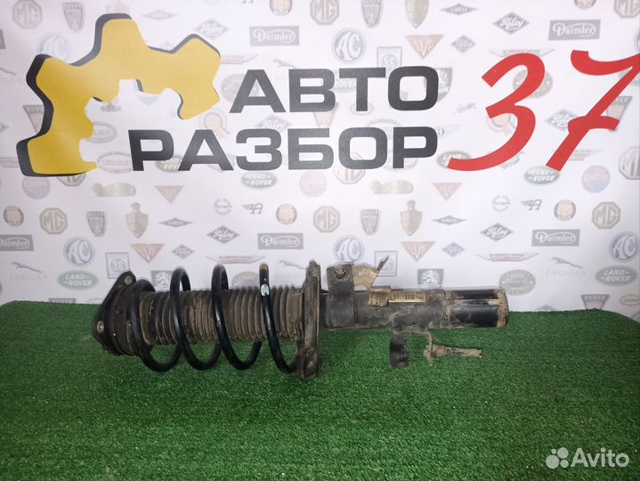 Амортизатор передний правый Форд Фокус 3