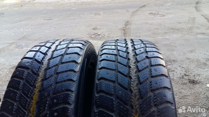 Roadstone Winguard 231 205/60 R16 92T