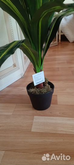 Искусственные растения в горшках Драцена, Plant