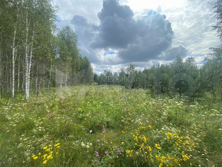 Участок 15,3 сот. (личное подсобное хозяйство (лпх))