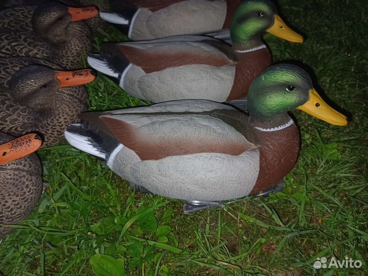 Чучела уток для охоты