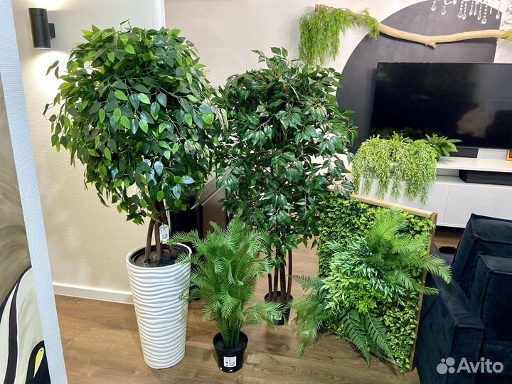 Искусственные растения / озеленение Казань