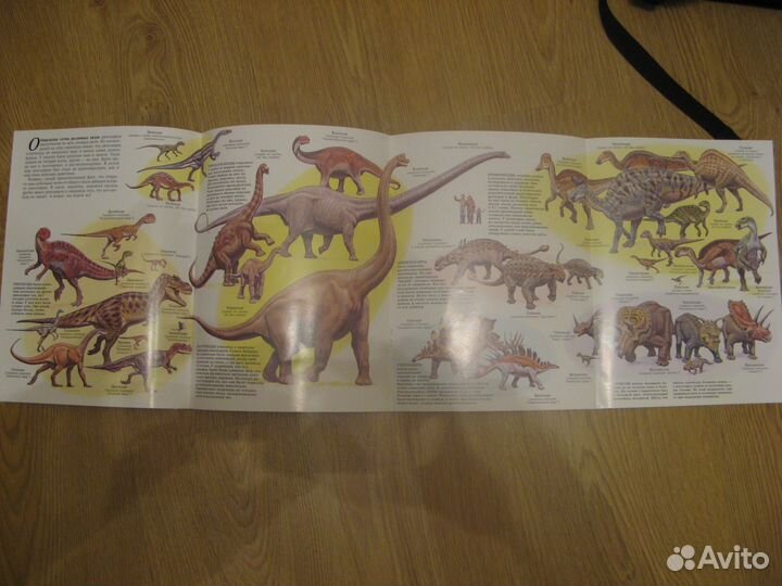 Мир животных. Динозавры