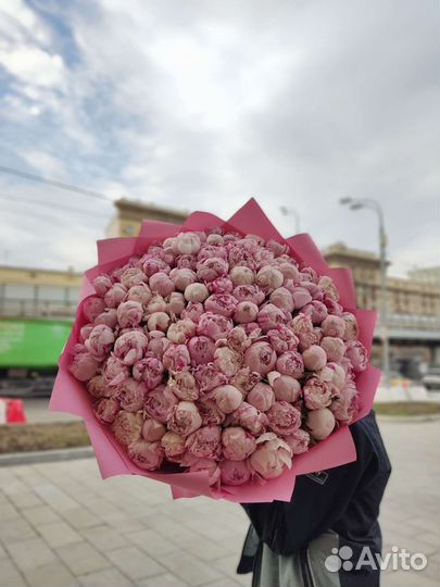Пионы букет пионов доставка
