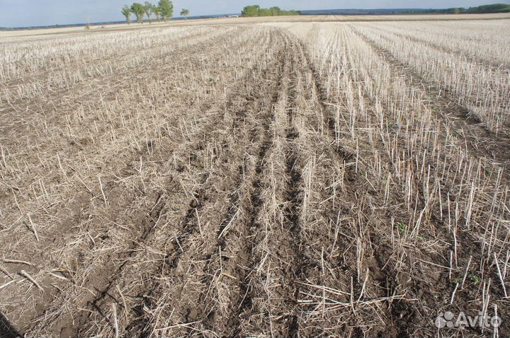 Сеялка Bourgault 8810, 2023