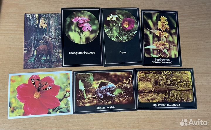 Календари СССР