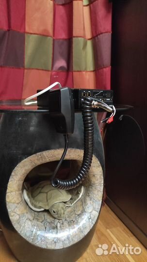 Новая автомобильная радиостанция Cobra 19DX